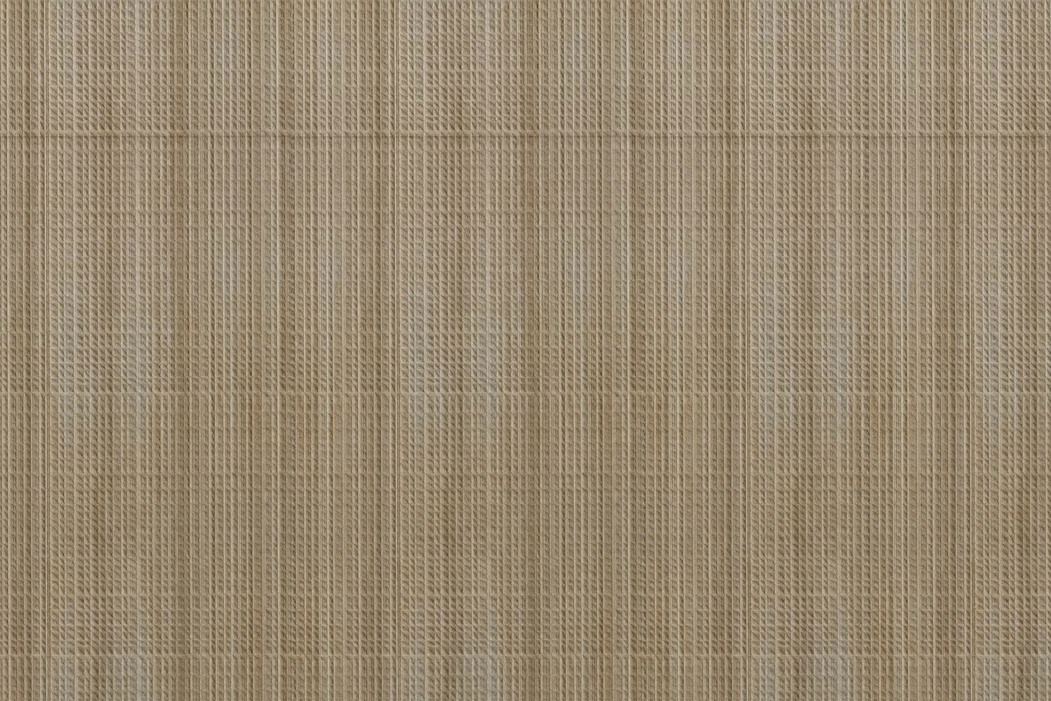 Salvatori_W_F_Tatami-in-Placido-Paradiso-toned_orizz