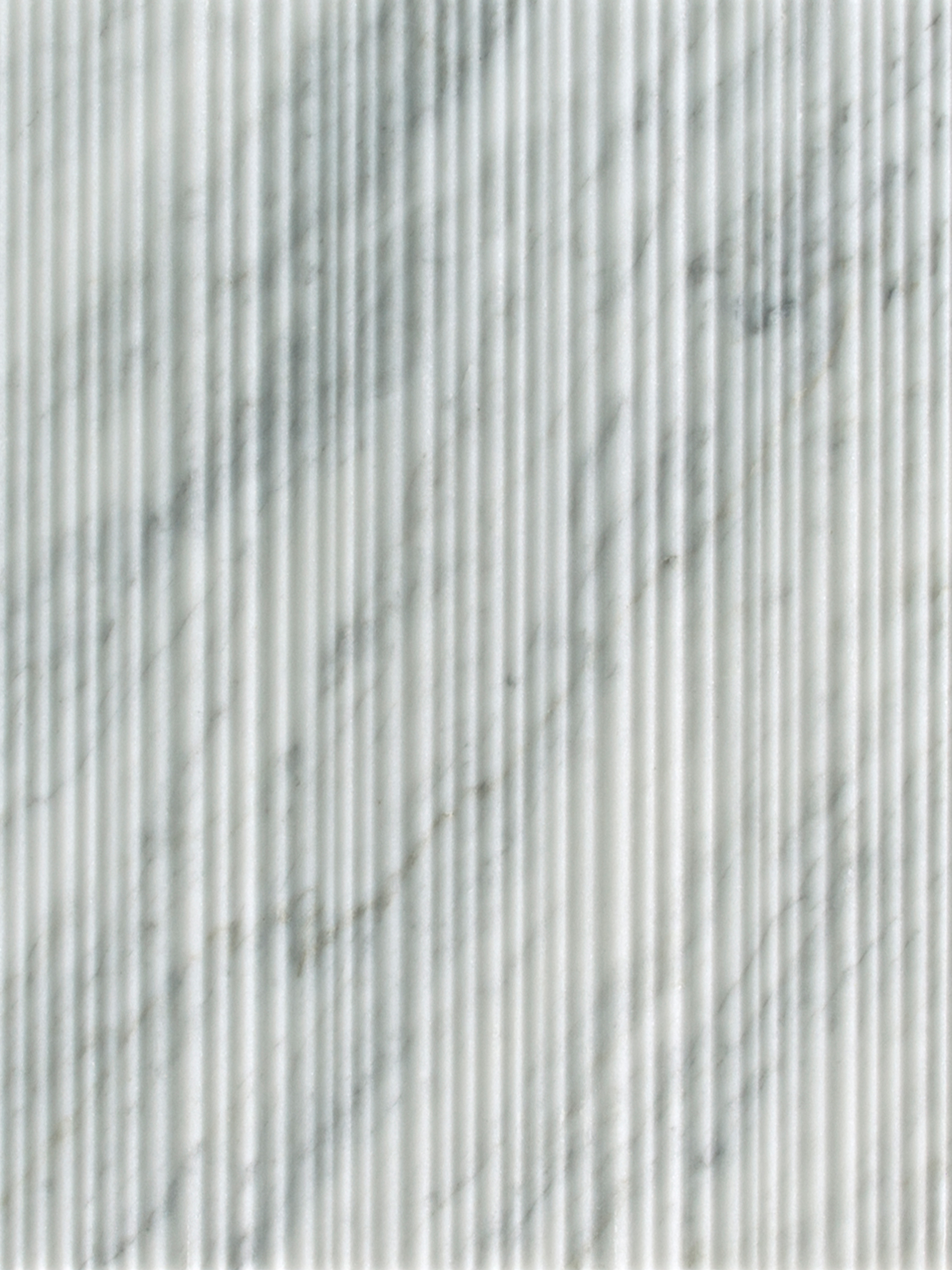 2019-04-cover_bc-bamboo