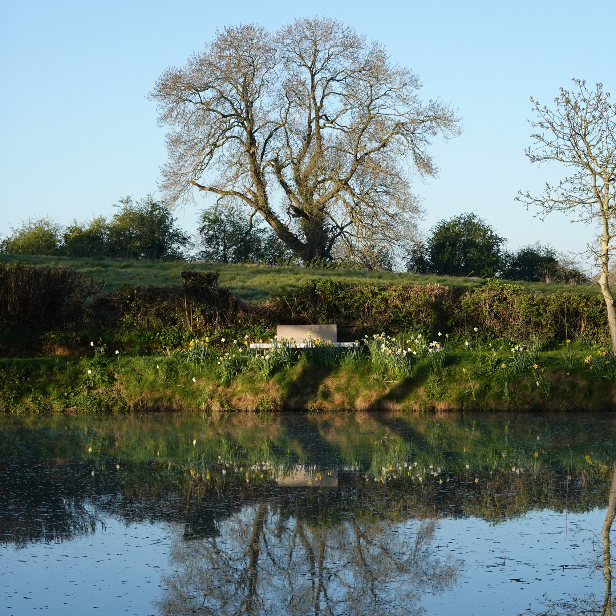 2020-11-media-gallery_salvatori_home_span-outdoor-7_new