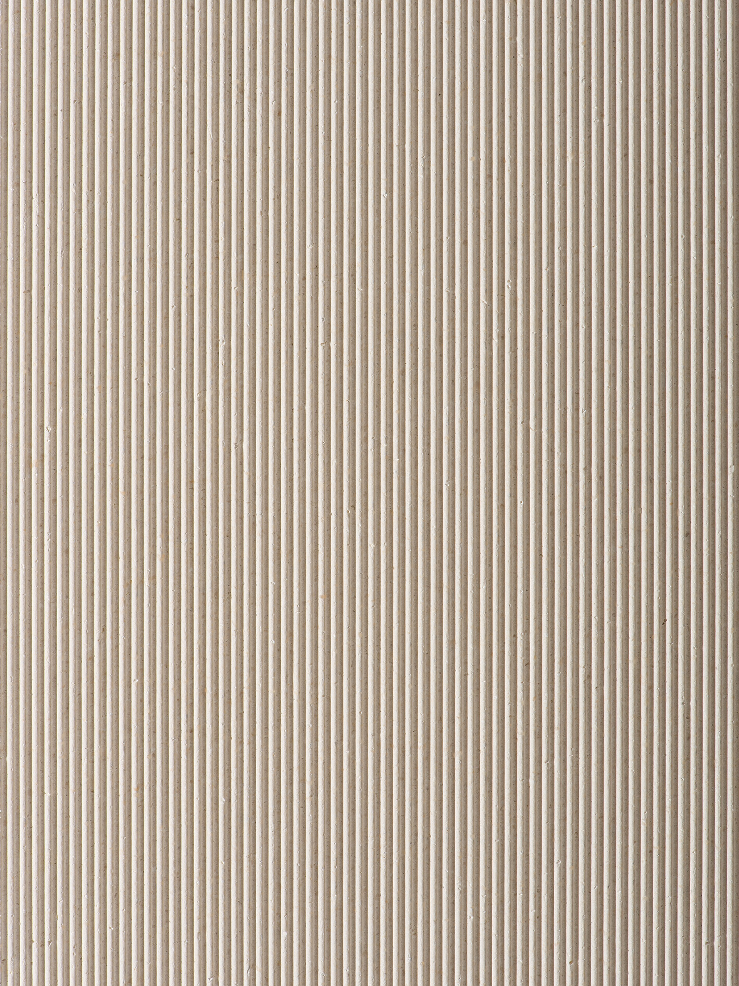 2021-07-salvatori_cover_wf_crema-d-orcia-spaghetti